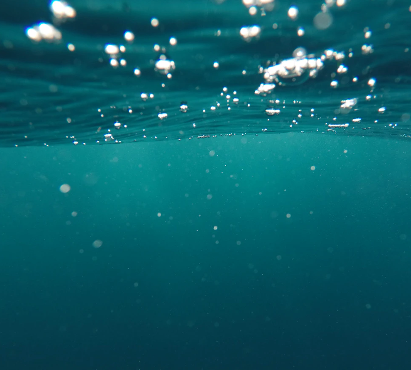 the ocean